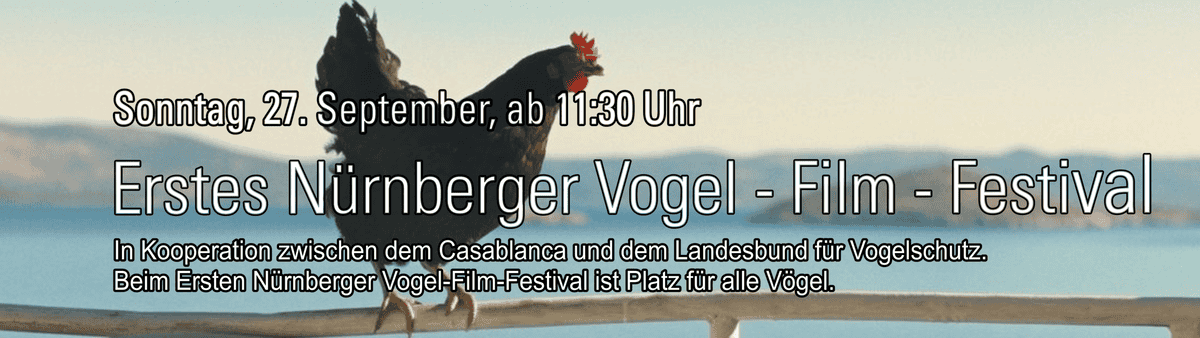 Vogelfilmfestival